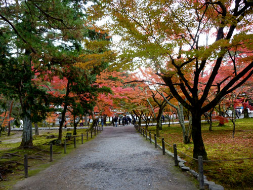 紅葉だより42　南禅寺と湯豆腐_e0048413_1430212.jpg