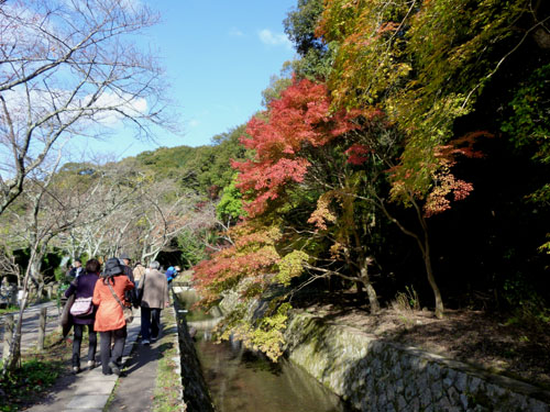 紅葉だより43 哲学の道から法然院_e0048413_1521920.jpg