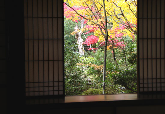 紅葉だより45 高桐院_e0048413_1710258.jpg