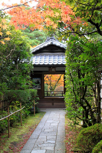 紅葉だより45 高桐院_e0048413_1781947.jpg
