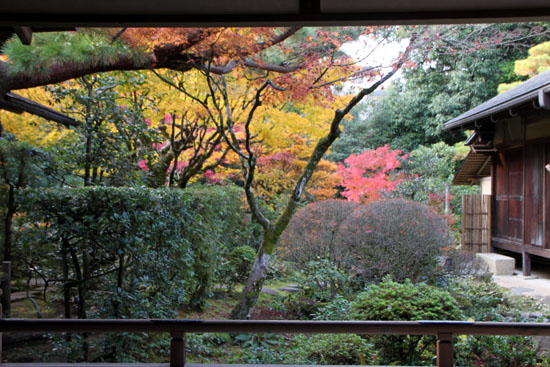 紅葉だより45 高桐院_e0048413_1783628.jpg