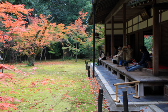 紅葉だより45 高桐院_e0048413_1791912.jpg