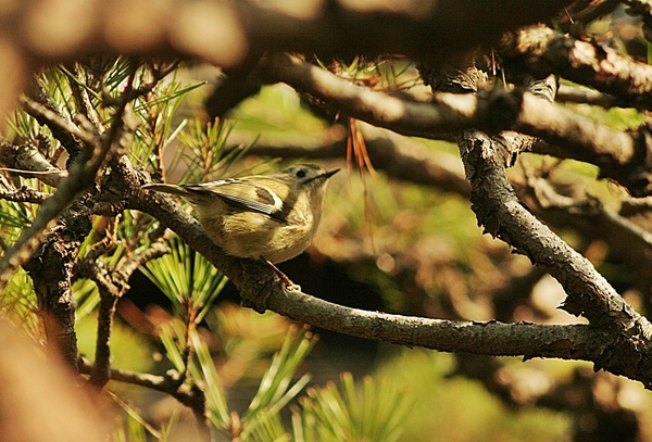d0025414_03105.jpg