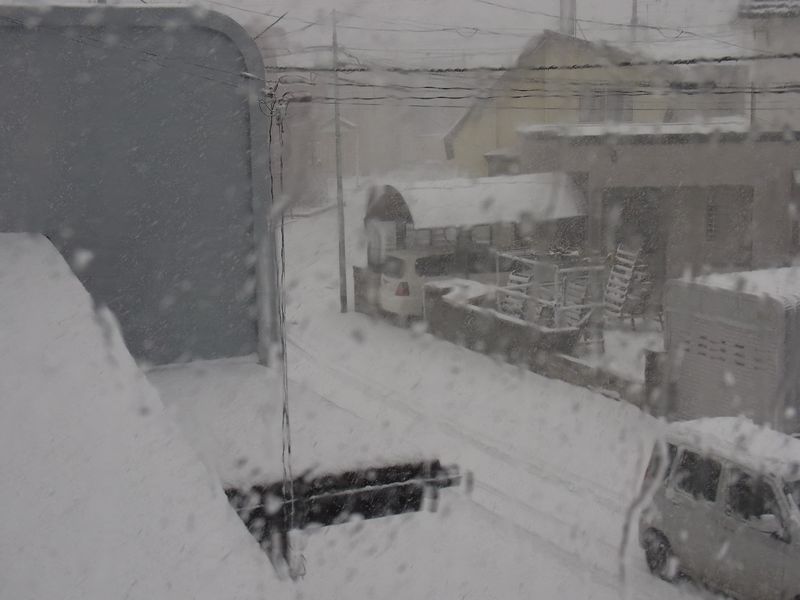 本格的な雪_c0025115_22313061.jpg