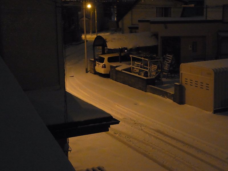 本格的な雪_c0025115_22313480.jpg