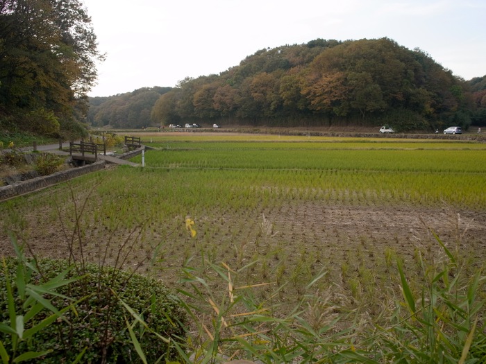 b0041520_8325968.jpg