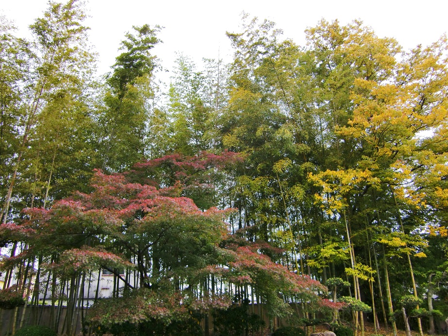 松花堂庭園(京都府八幡市)_c0219820_14511444.jpg