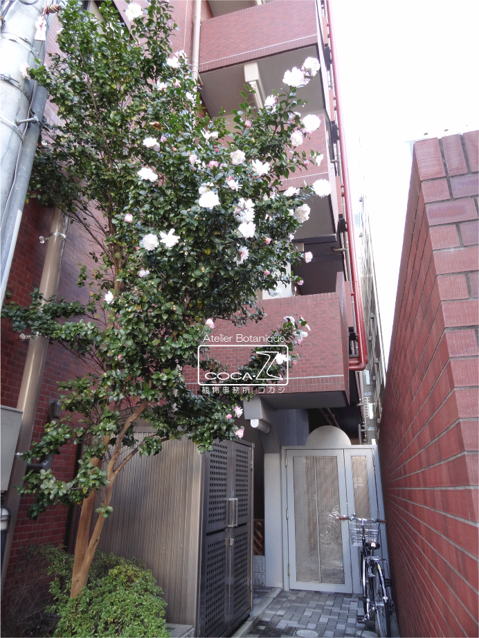 b0160123_12579.gif