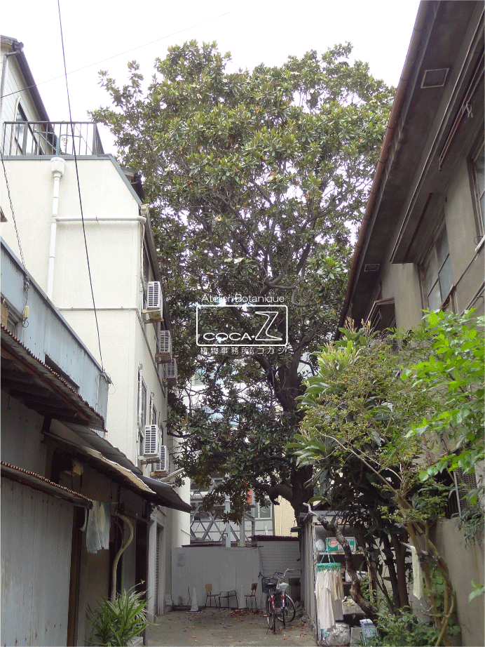 b0160123_1272566.gif