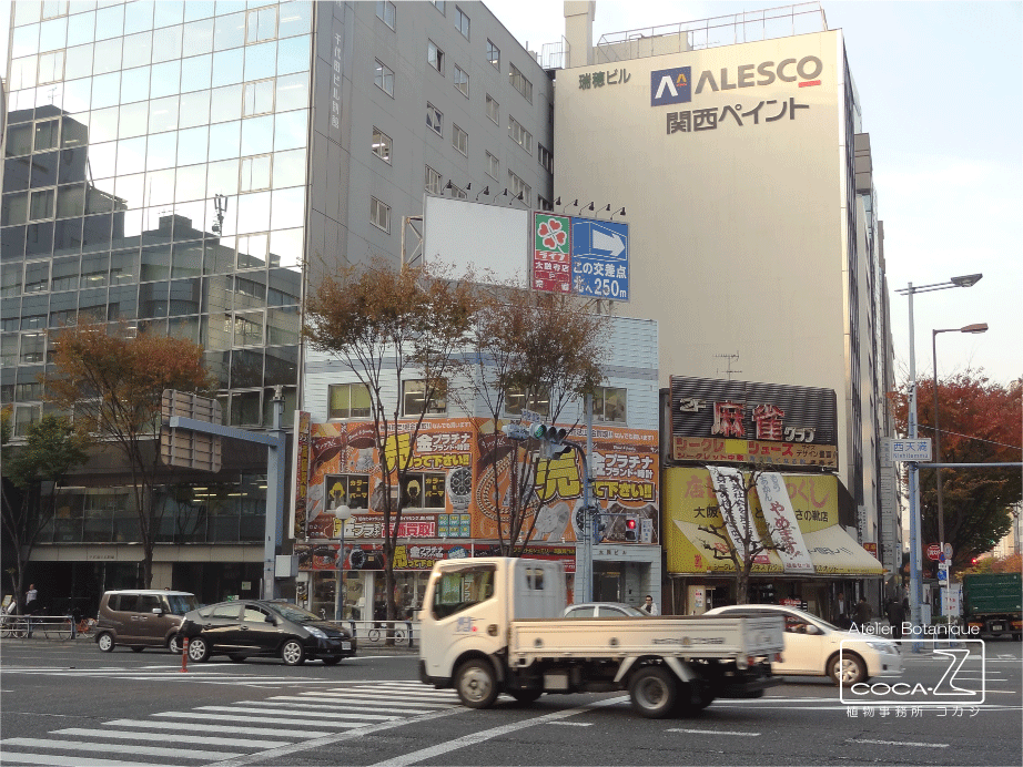 b0160123_1321444.gif
