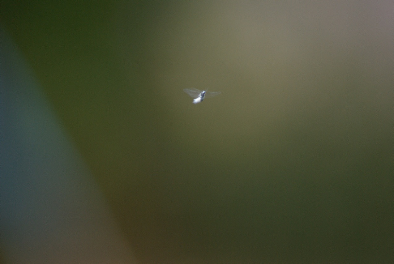 b0062024_14451747.jpg