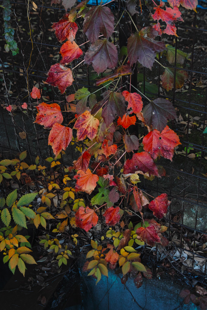 c0223825_4105511.jpg