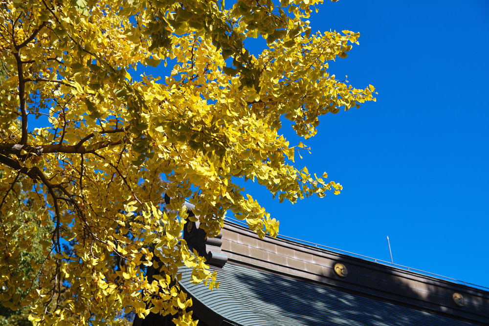 c0223825_431167.jpg