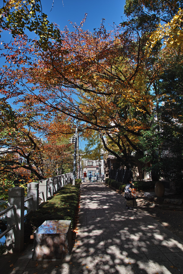 c0223825_44568.jpg