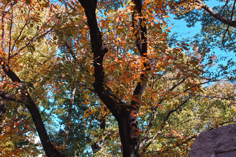 c0223825_4458100.jpg