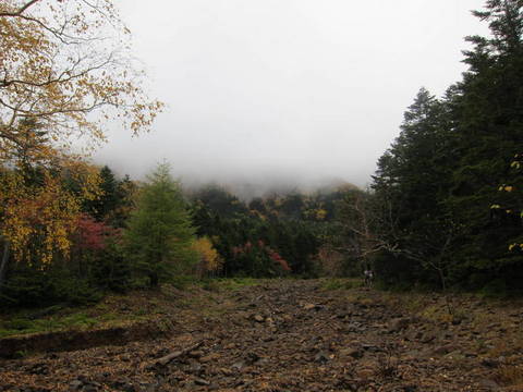d0247927_955358.jpg