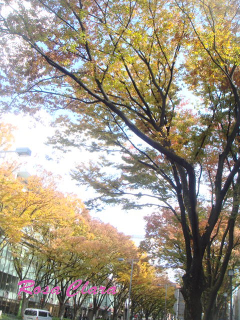 f0230127_0315618.jpg