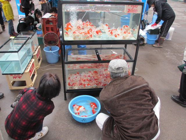 f0214235_16574832.jpg