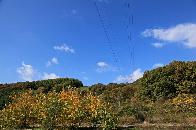a0242438_17463972.jpg