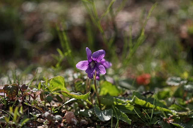 a0242438_17475917.jpg