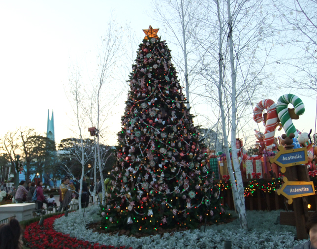 Xmasのディズニーリゾート旅Ⅲ_c0036138_184554.jpg