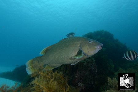 a0150039_8401660.jpg