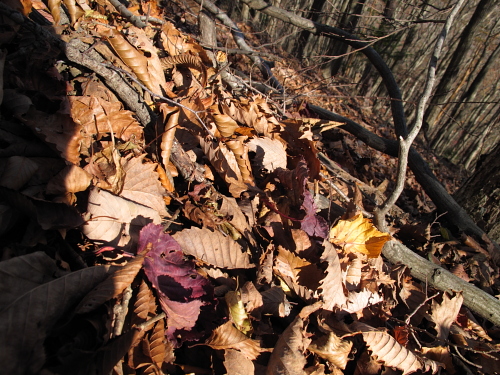 go climb a mountain part 3_f0114339_10331131.jpg