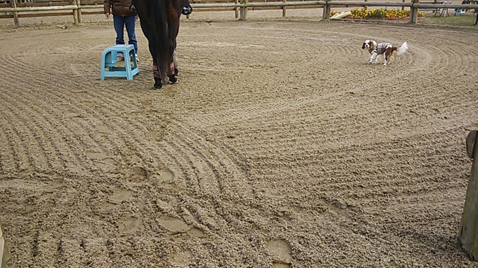 e0145441_17502637.jpg