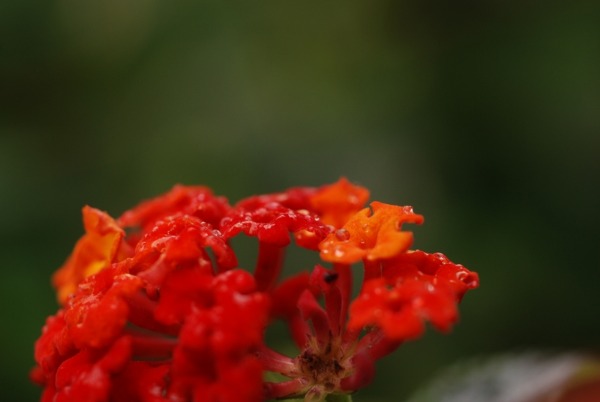 f0229844_22532925.jpg
