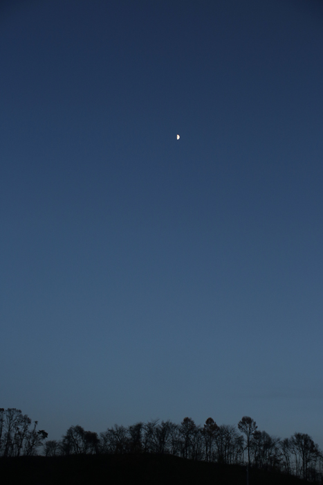 c0035245_0154817.jpg