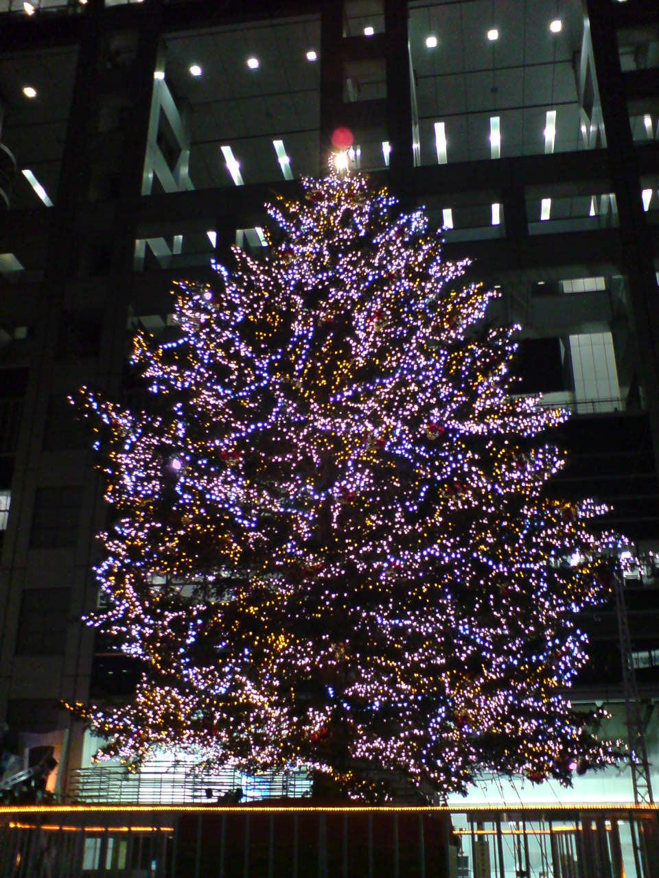 c0235348_838662.jpg