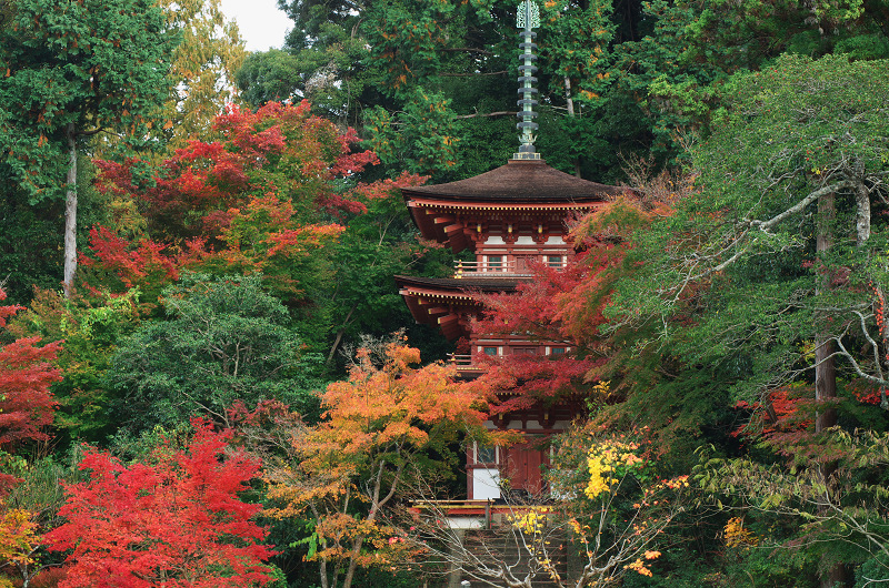 浄瑠璃寺・秋景（木津川市）_f0155048_1249566.jpg