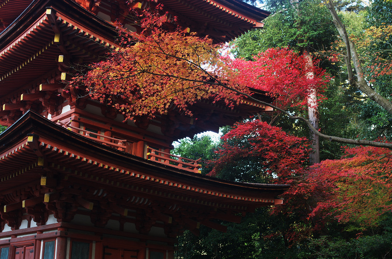 浄瑠璃寺・秋景（木津川市）_f0155048_12513911.jpg