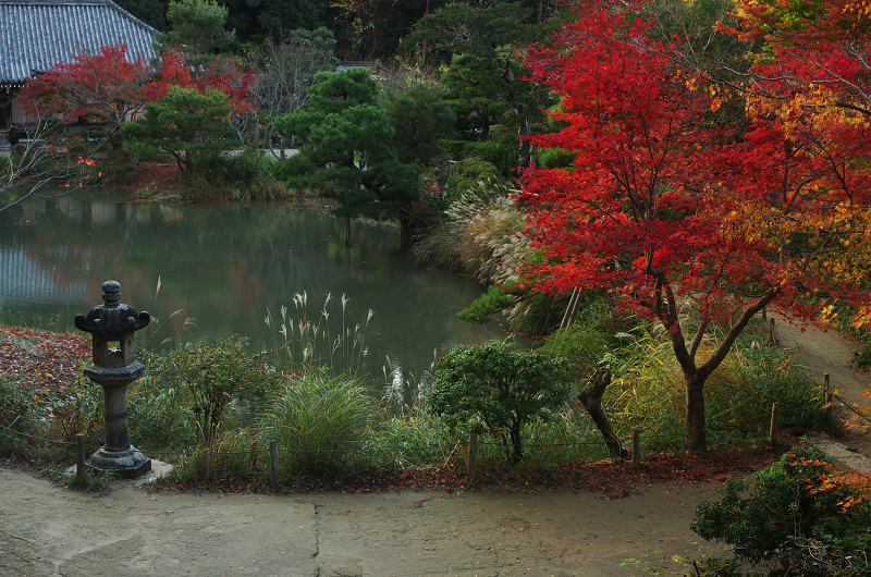 浄瑠璃寺・秋景（木津川市）_f0155048_1252418.jpg