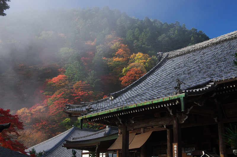 霧むせぶ善峯寺の紅葉（善峯寺・前編）_f0155048_15343032.jpg