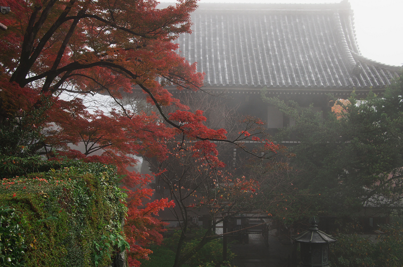 霧むせぶ善峯寺の紅葉（善峯寺・前編）_f0155048_15343329.jpg