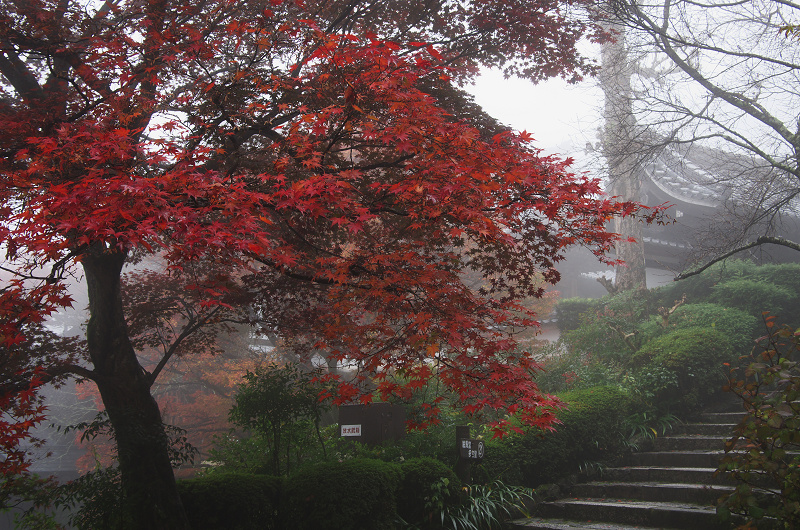 霧むせぶ善峯寺の紅葉（善峯寺・前編）_f0155048_15344182.jpg