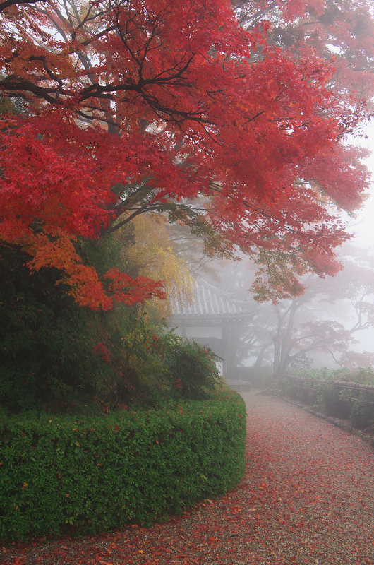 霧むせぶ善峯寺の紅葉（善峯寺・前編）_f0155048_1534439.jpg