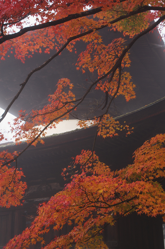 霧むせぶ善峯寺の紅葉（善峯寺・前編）_f0155048_15351483.jpg