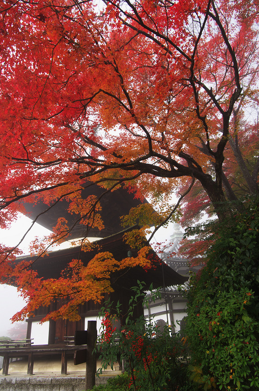 霧むせぶ善峯寺の紅葉（善峯寺・前編）_f0155048_15353386.jpg