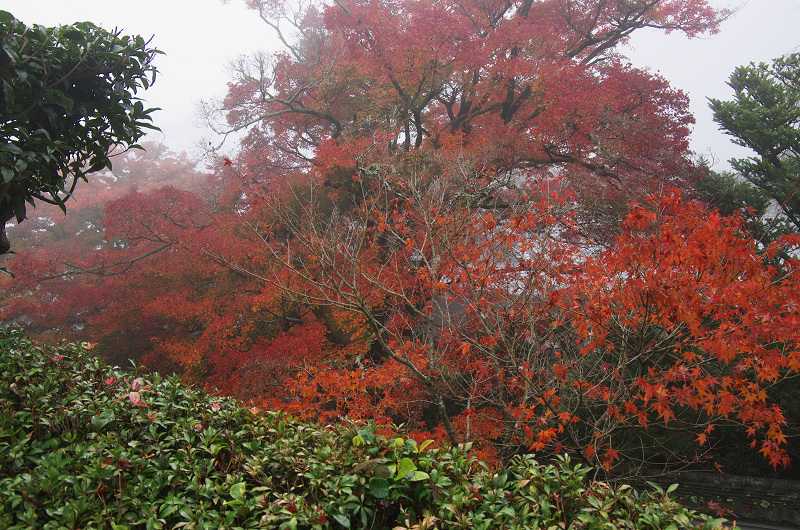 霧むせぶ善峯寺の紅葉（善峯寺・前編）_f0155048_15355613.jpg