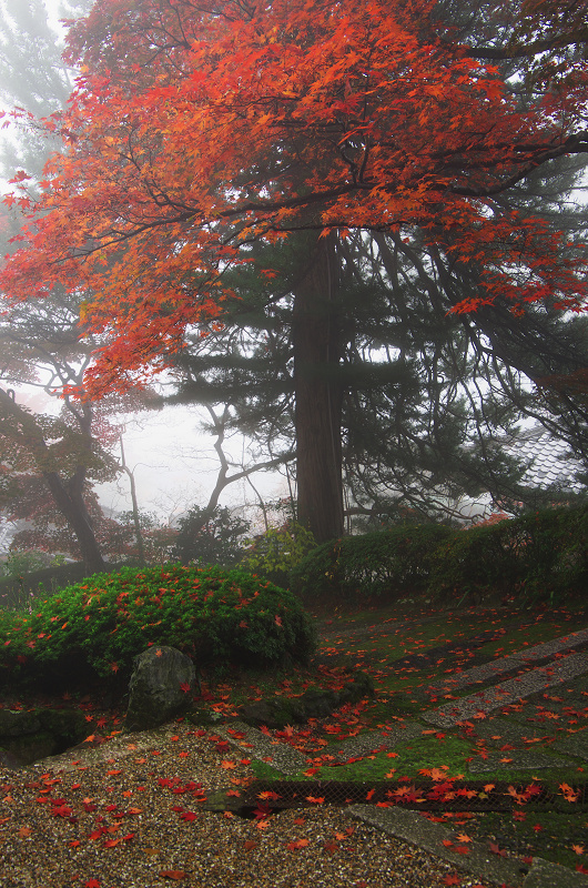 霧むせぶ善峯寺の紅葉（善峯寺・前編）_f0155048_15361346.jpg