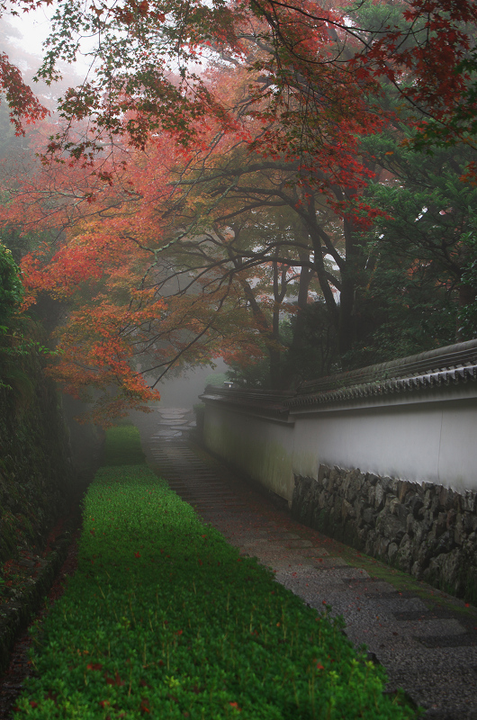 霧むせぶ善峯寺の紅葉（善峯寺・前編）_f0155048_1536258.jpg