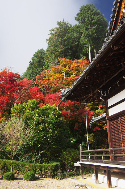 霧むせぶ善峯寺の紅葉（善峯寺・前編）_f0155048_15372327.jpg