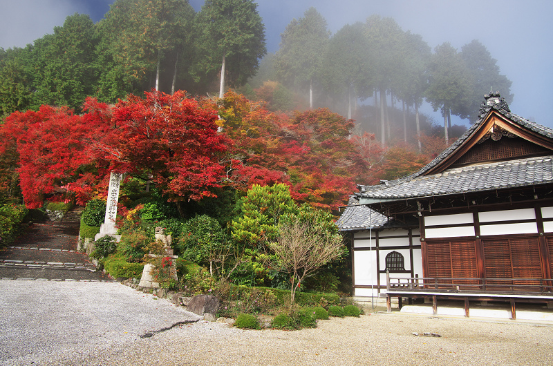 霧むせぶ善峯寺の紅葉（善峯寺・前編）_f0155048_1537525.jpg