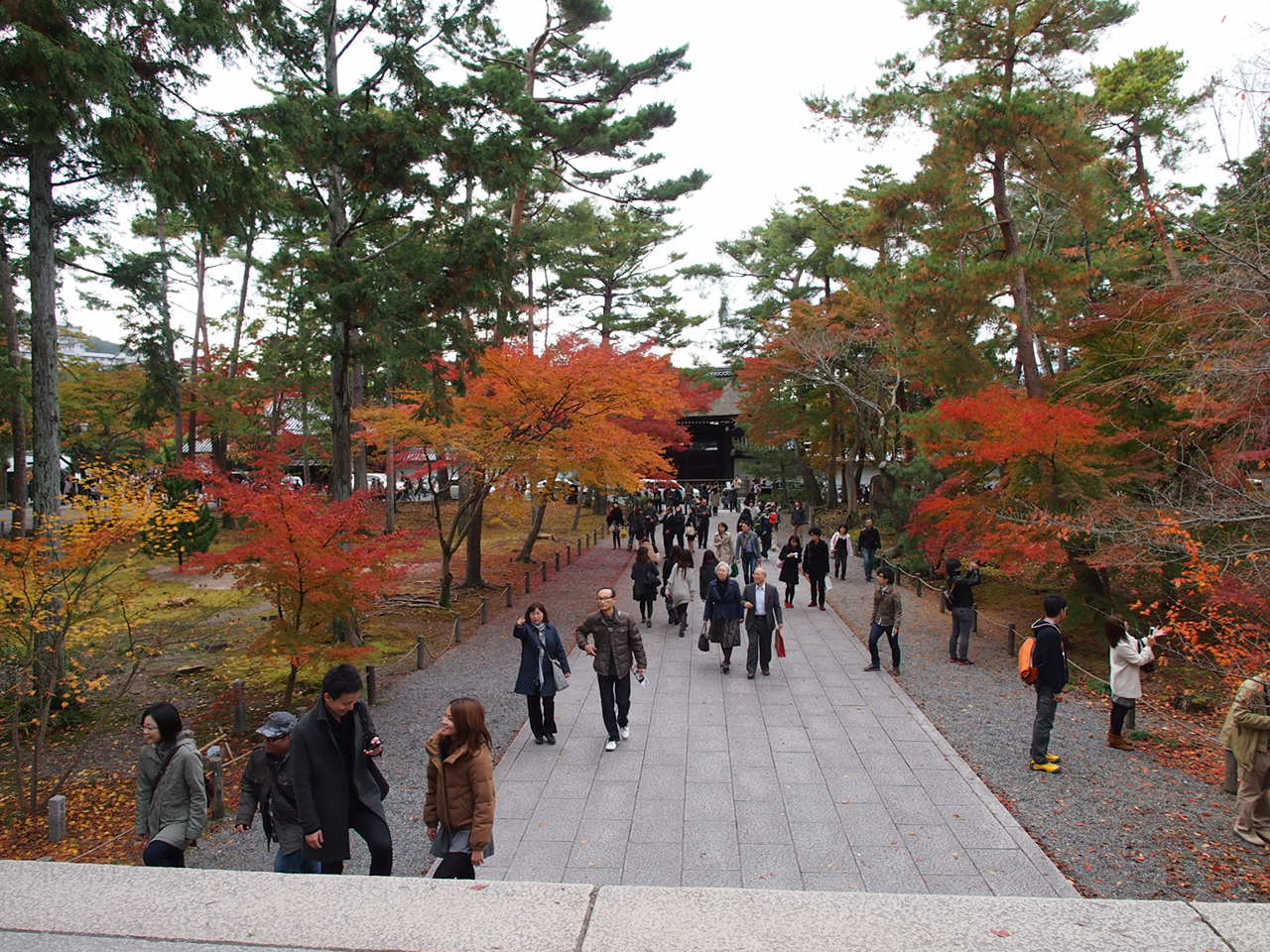a0024250_17491645.jpg