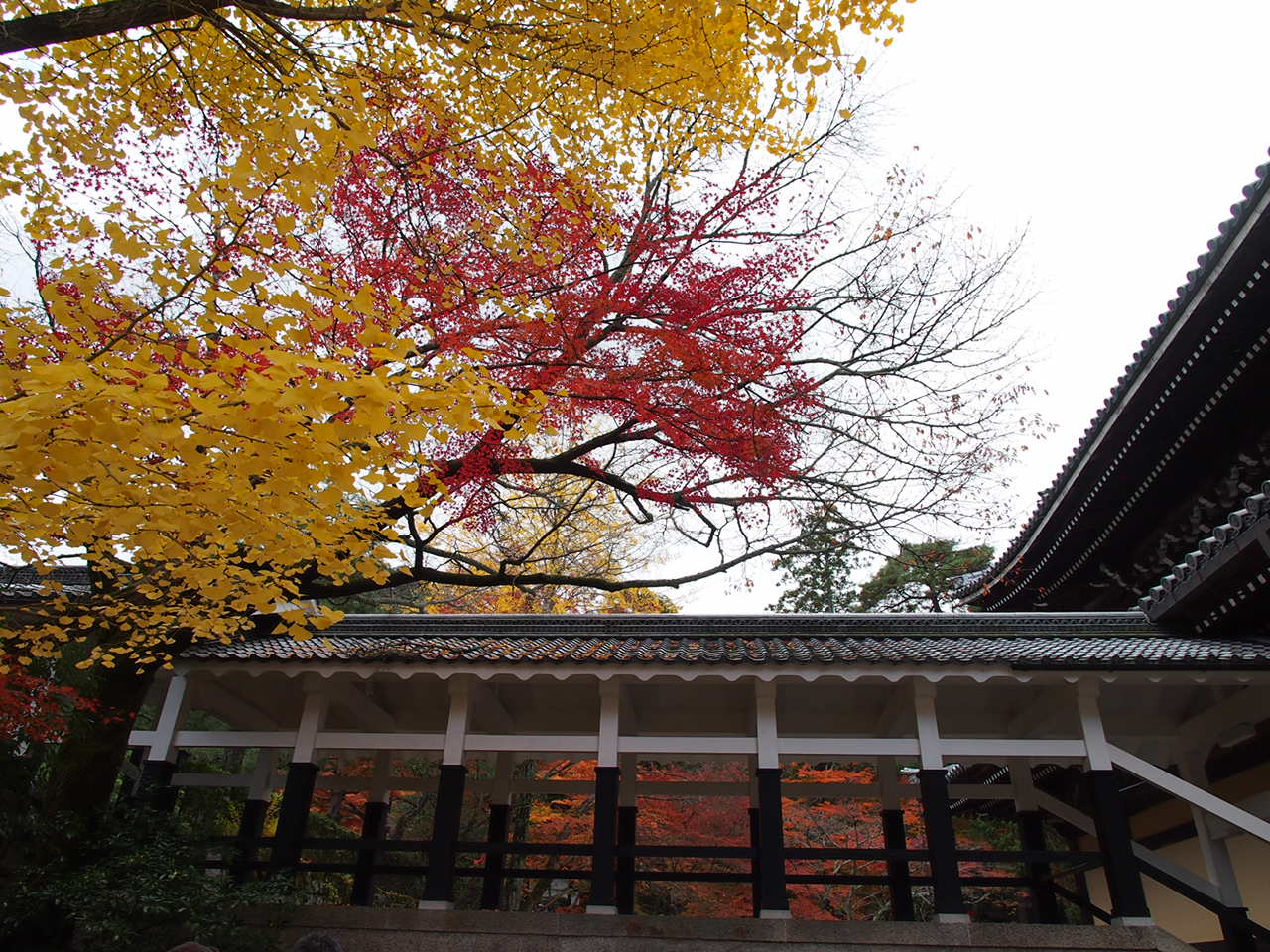 a0024250_1804258.jpg