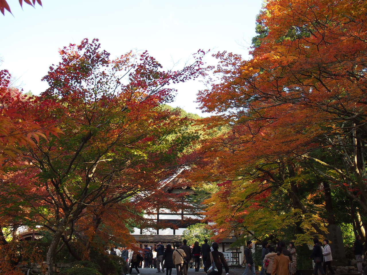 a0024250_1820379.jpg