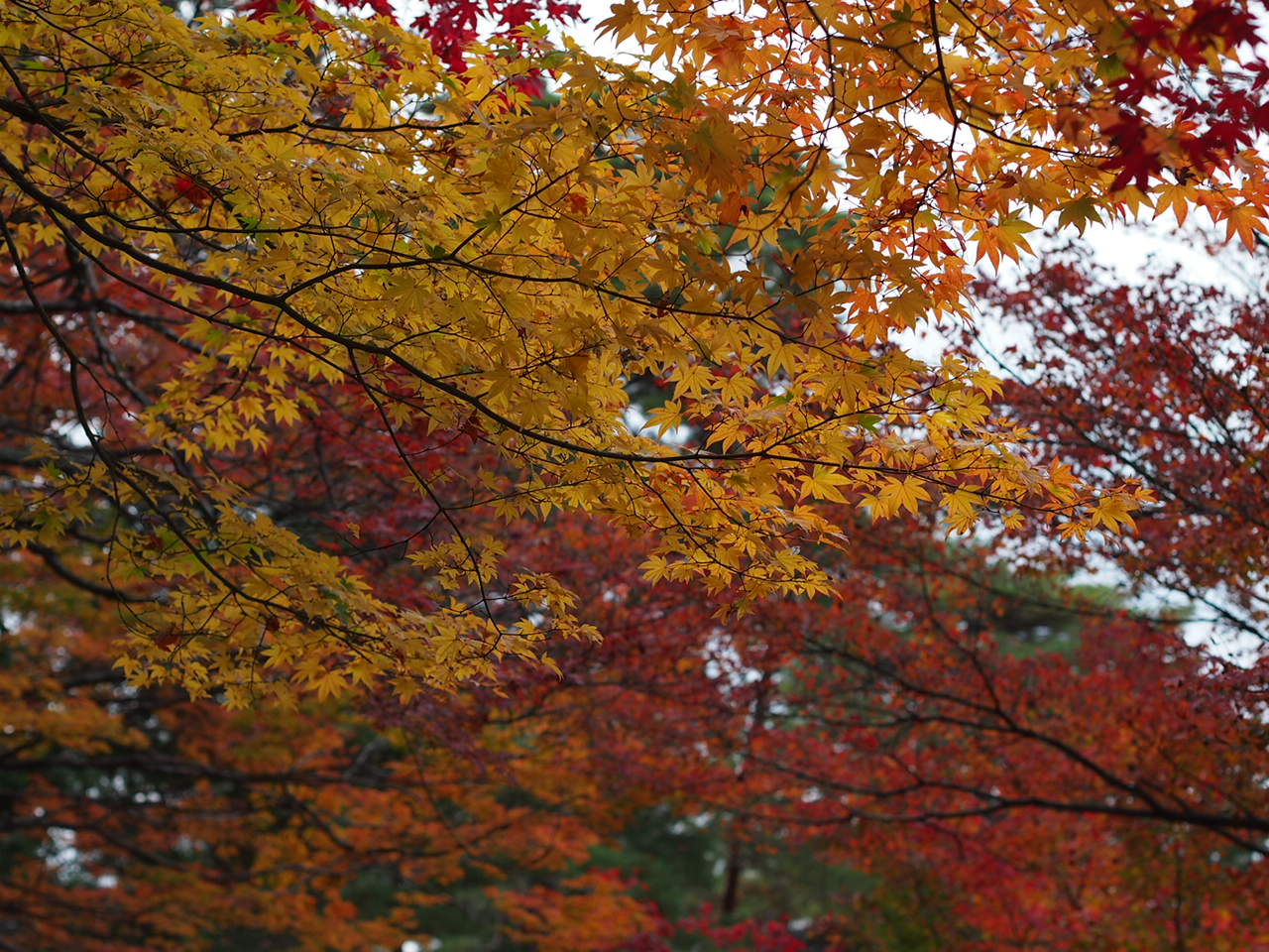 a0024250_1864786.jpg