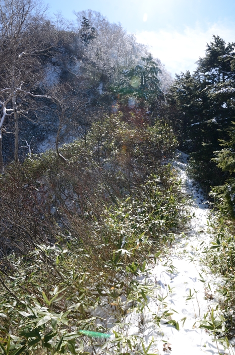 a0263952_21472353.jpg
